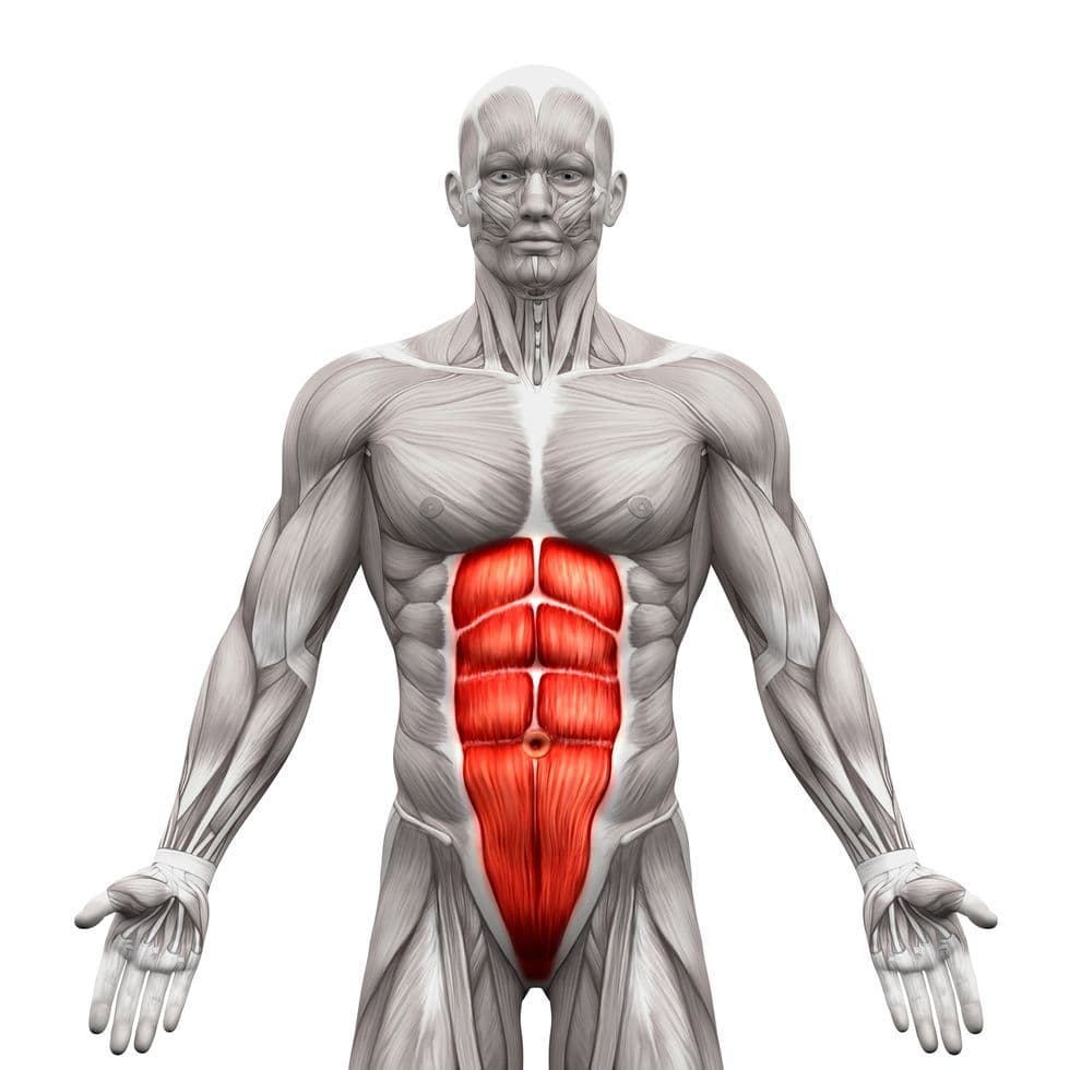 How to Get Six Pack Abs: The Real Science-Based Method for 2026 — GymPath